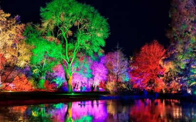 Win a family ticket to RHS Glow at Wisley
