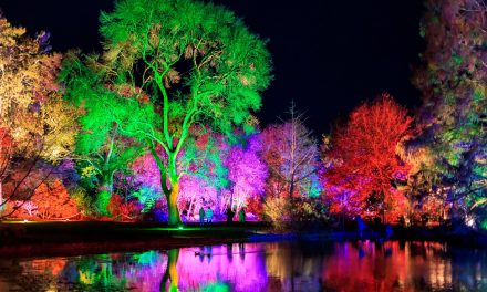 Win a family ticket to RHS Glow at Wisley