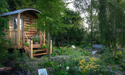 Over 1,000 RHS show garden plants find new home to boost community wellbeing in Surrey