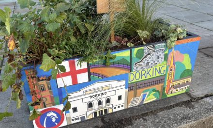 Dorking’s High Street blossoms with creativity: new artistic planters brightening up the town