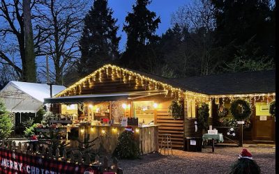 Ramster Hall and Garden unveils festive programme for Christmas 2025