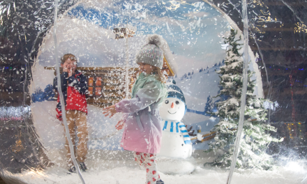 Win one of two family tickets to the Winter Fair at the South of England Showground on Saturday 22nd November