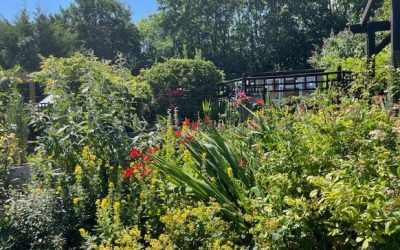 Every entry makes Guildford bloom