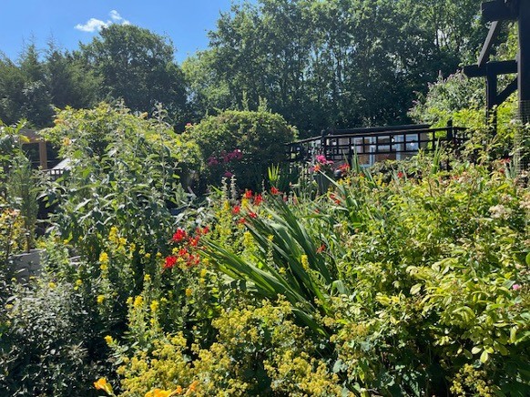 Every entry makes Guildford bloom