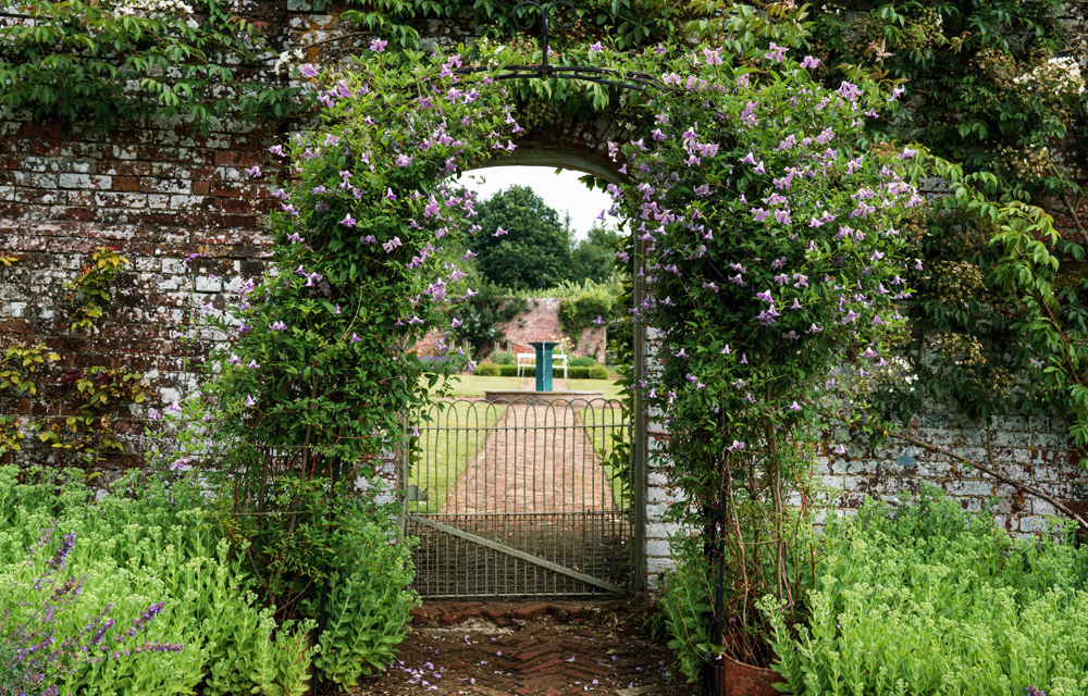Share the Beauty of Your Garden for Local Hospice Care