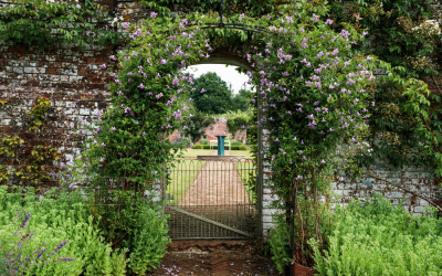 Share the Beauty of Your Garden for Local Hospice Care