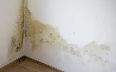 How to spot damp in the home (and stop it in its tracks)