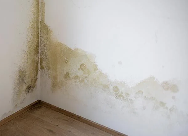 How to spot damp in the home (and stop it in its tracks)