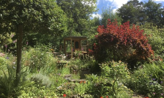 The National Garden Scheme: 1 Pest Cottage Midhurst: Open in aid of NGS charities