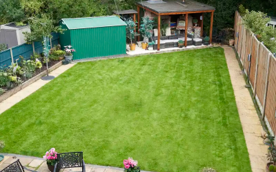 March lawn care tips as we prepare for the first mow!