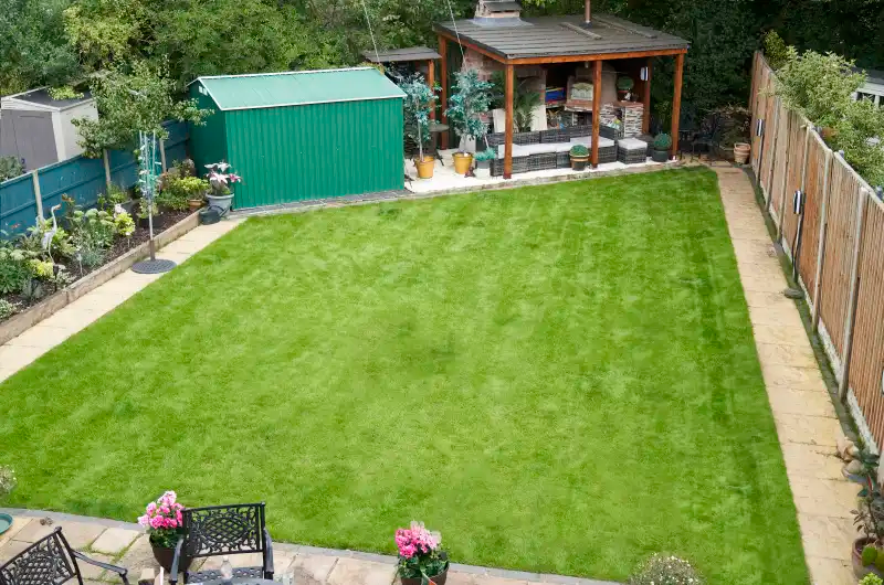 March lawn care tips as we prepare for the first mow!