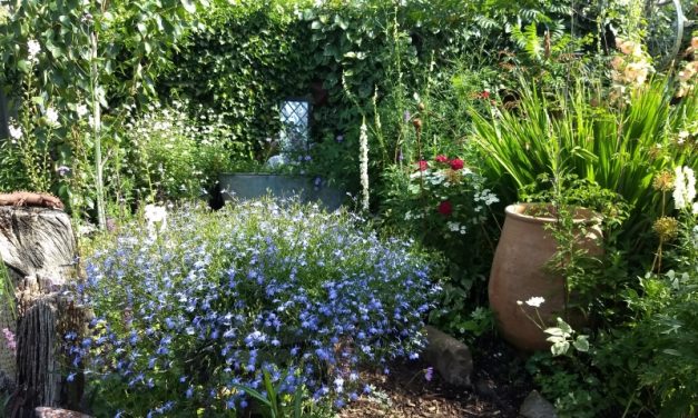 The National Garden Scheme: Foxglove Cottage Horsham: Open in aid of NGS charities