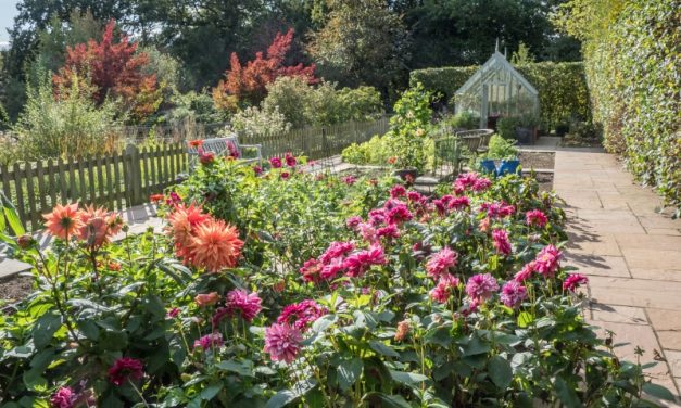 The National Garden Scheme: Grovelands Wineham: Open in aid of NGS charities