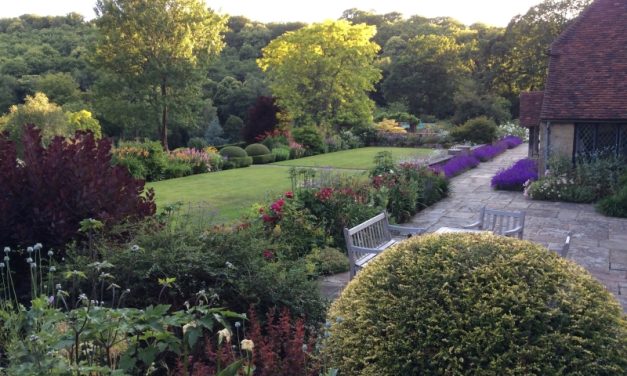 The National Garden Scheme: Shalford House Kingsley Green: Open in aid of NGS charities