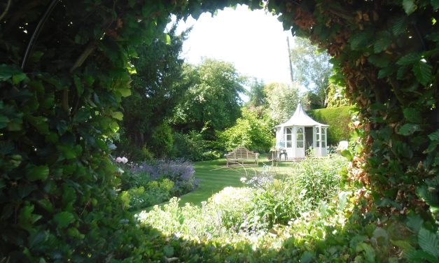 Petworth’s Secret Garden Trail