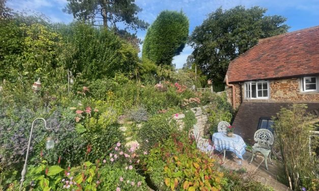 The National Garden Scheme: The Cottage Pulborough: Open in aid of NGS charities