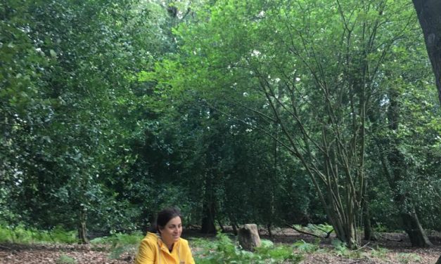 Forest Bathing in Shere – July Summer Immersion