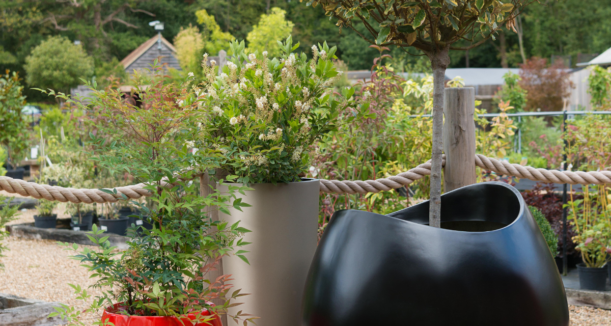 Win a £200 voucher towards a bespoke planter of your choice