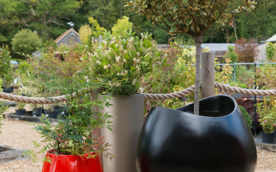 Win a £200 voucher towards a bespoke planter of your choice