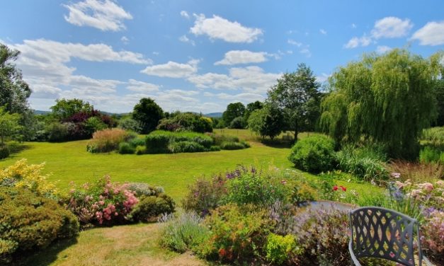 National Garden Scheme: Durford Abbey Barn: Open in aid of NGS charities