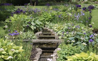 West Sussex Gardens opening in May under the National Garden Scheme