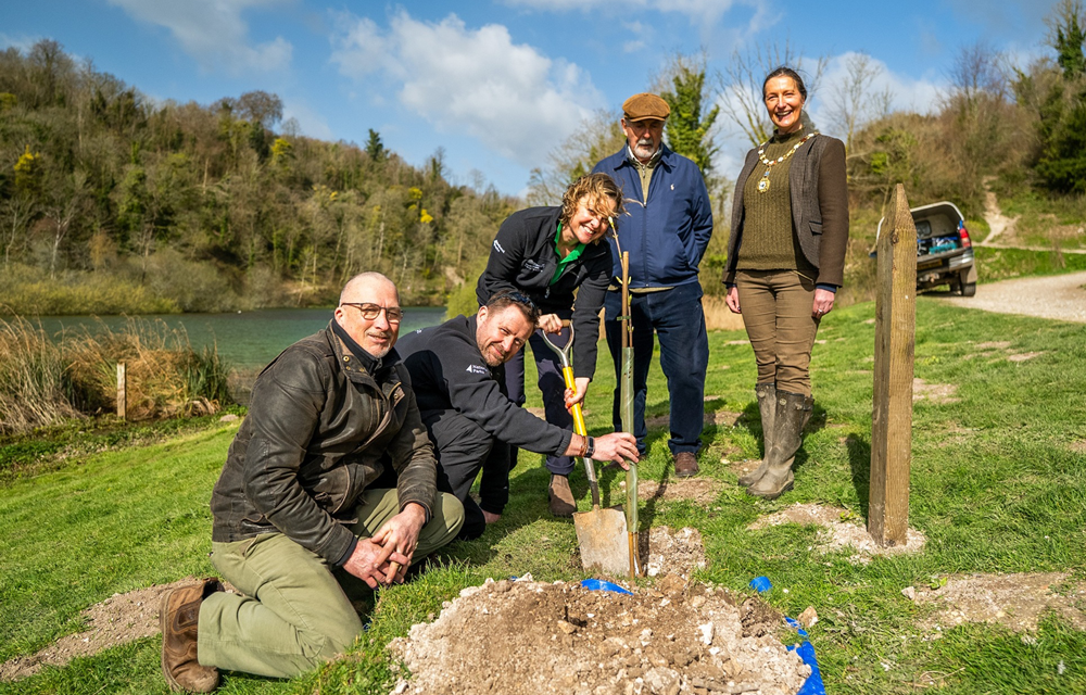 Sycamore Gap tree is planted in South Downs National Park
