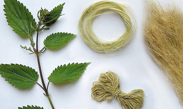 Nettle Fibre Workshop – from foraging to fibre in 5 hours