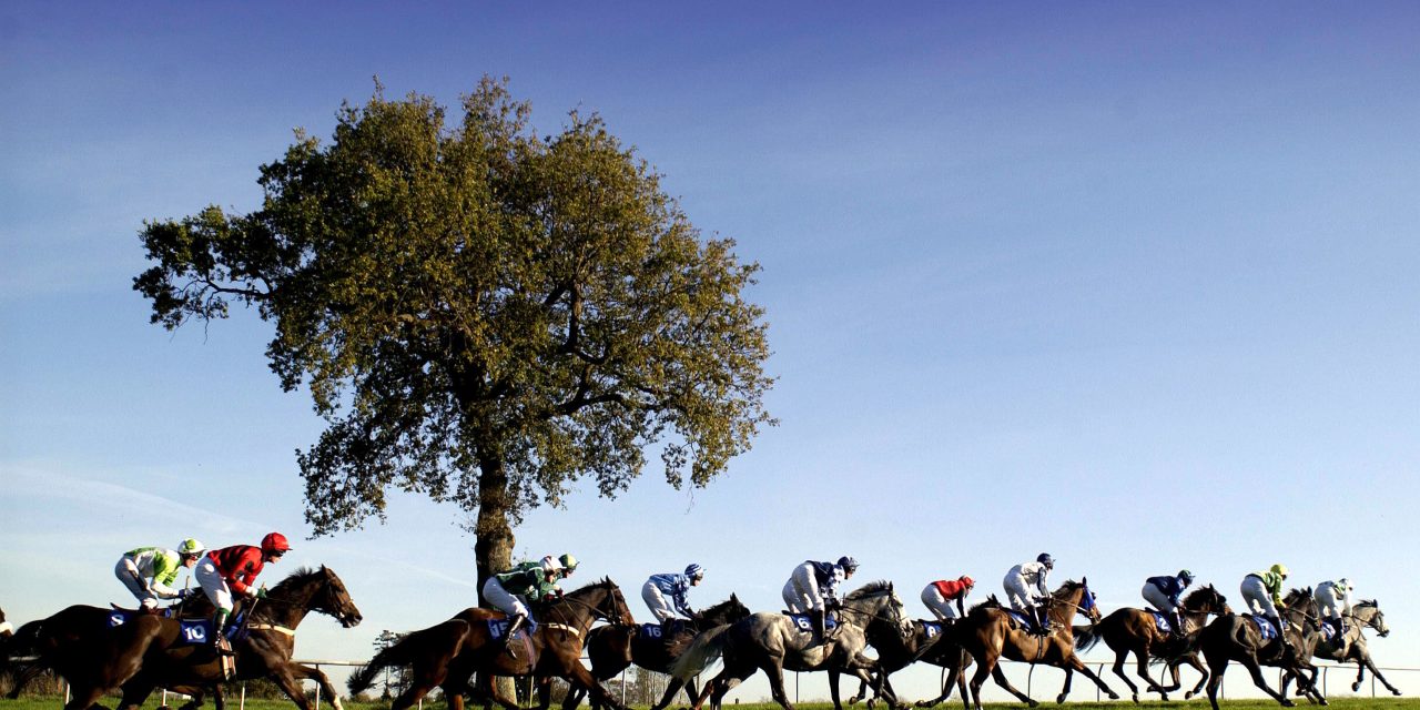 Win a pair of tickets to Plumpton Racecourse’s Ladies Day on Sunday 10th May