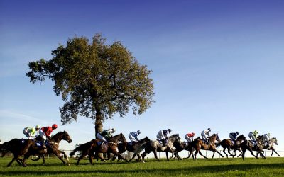 Win a pair of tickets to Plumpton Racecourse’s Ladies Day on Sunday 10th May