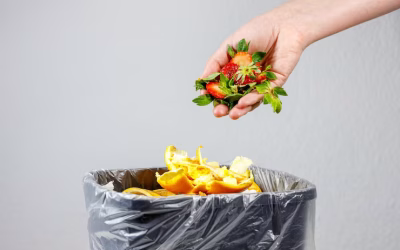 Stop Food Waste Day was on 29th April