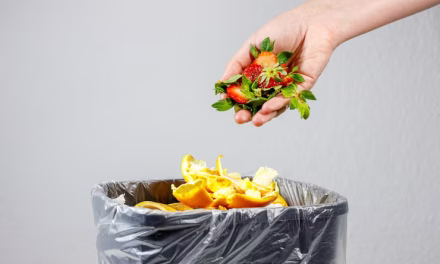 Stop Food Waste Day was on 29th April