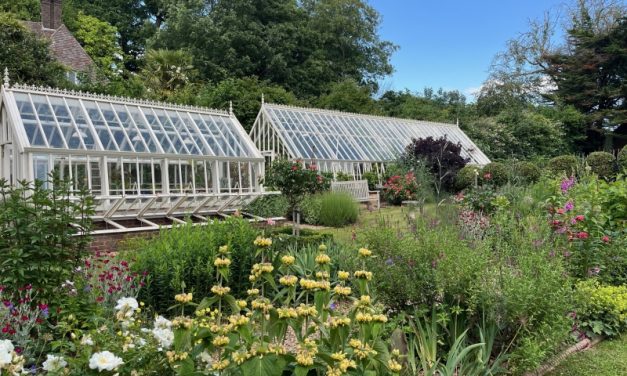 National Garden Scheme: Alderbury: Garden opening in aid of NGS charities