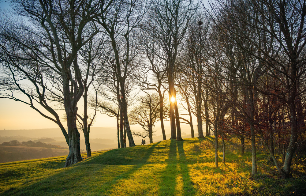 So green and serene! Win £250 in National Park’s photo contest
