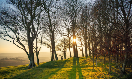 So green and serene! Win £250 in National Park’s photo contest