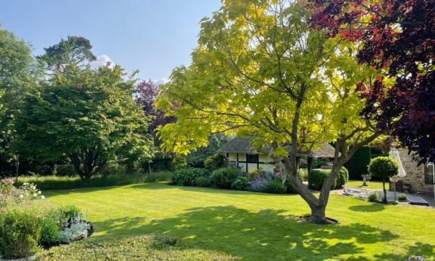 National Garden Scheme: Nutbourne Village Gardens: Four Gardens opening together in aid of NGS charities