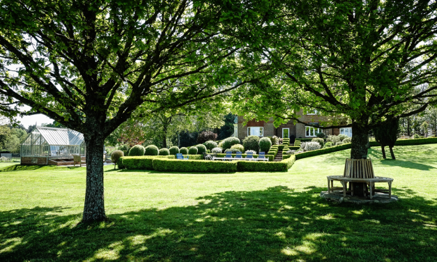 Explore Secrets of Local Gardens with Phyllis Tuckwell