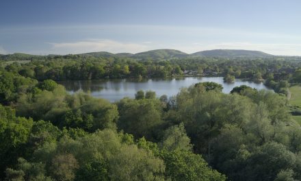 Have your say on vital placemaking plan for South Downs National Park