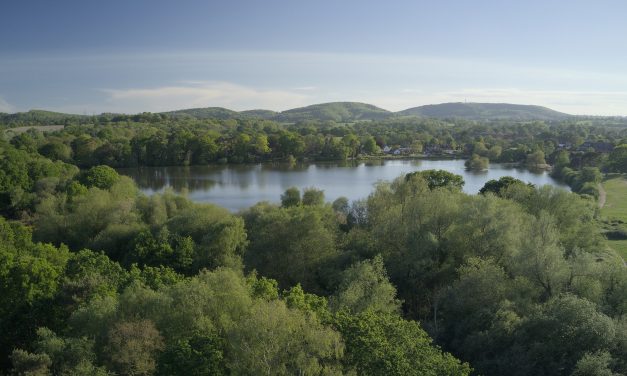 Have your say on vital placemaking plan for South Downs National Park
