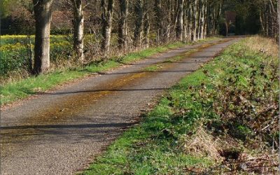Win a copy of Stane Street: From Chichester to London by Richard Powell