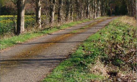 Win a copy of Stane Street: From Chichester to London by Richard Powell
