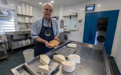 Food and Countryside Day at Pierrepont Farm, Frensham
