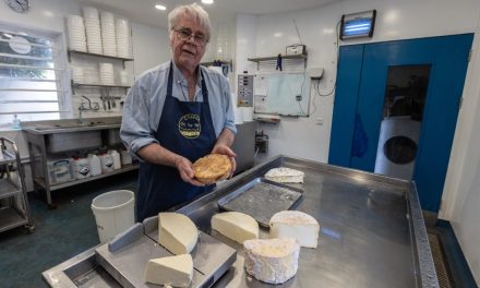 Food and Countryside Day at Pierrepont Farm, Frensham