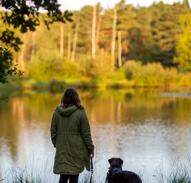 Take The Lead with dogs and help nature thrive!