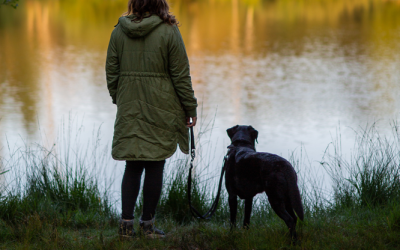 Take The Lead with dogs and help nature thrive!