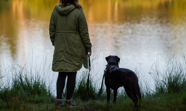 Take The Lead with dogs and help nature thrive!