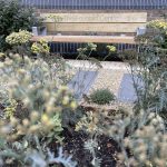 New Garden Sanctuary opens at The Fountain Centre