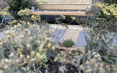 New Garden Sanctuary opens at The Fountain Centre