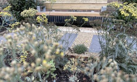 New Garden Sanctuary opens at The Fountain Centre