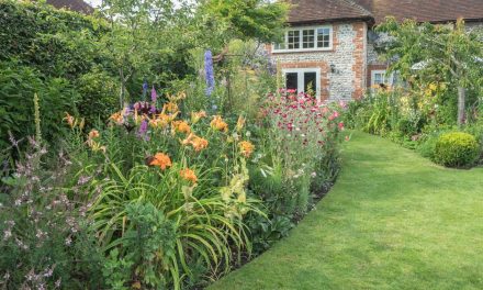 NGS Gardens open in West Sussex in June