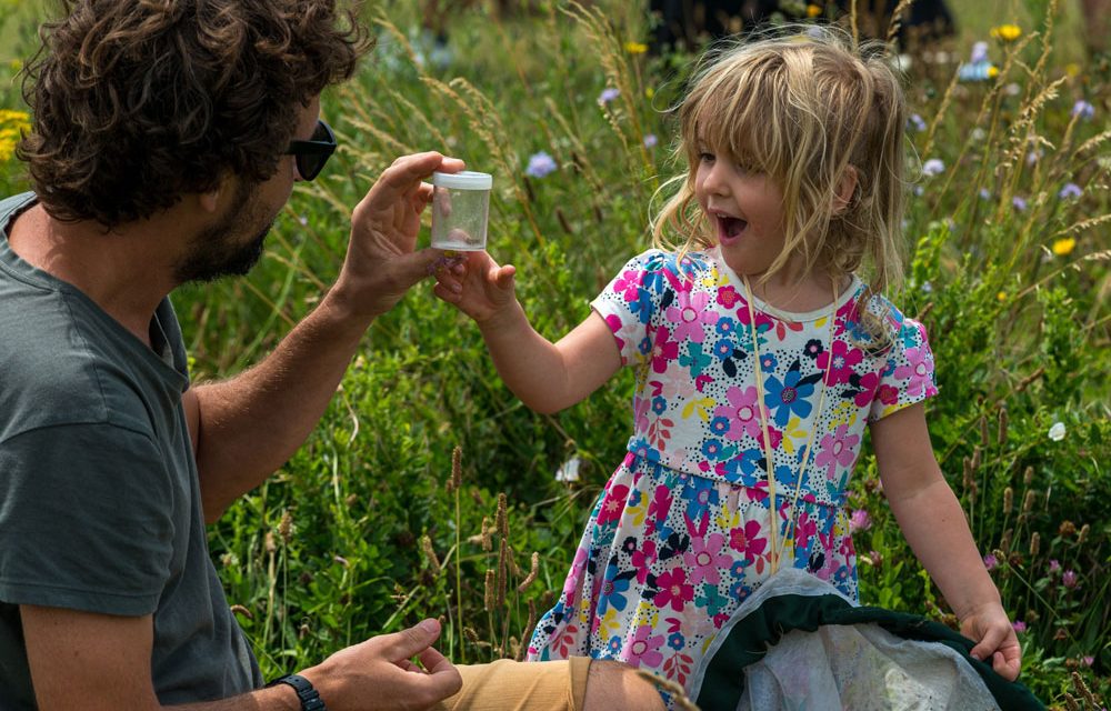 Success for nature in South Downs National Park as festival returns
